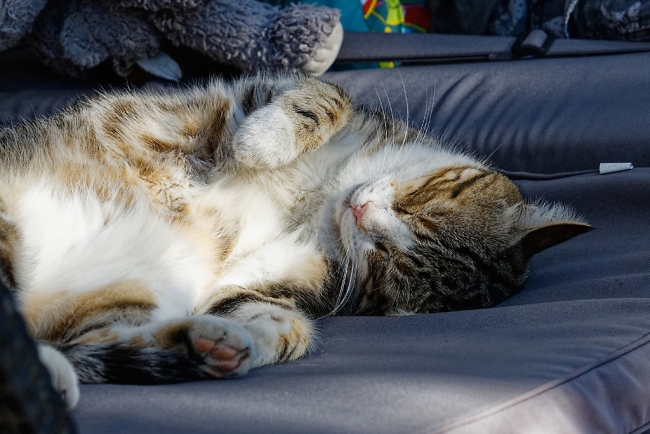 Famille et amis-JUN19-043